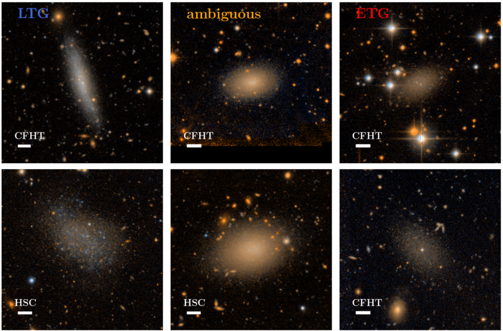 Enanas de ELVES: La estructura de galaxias enanas satélites ...