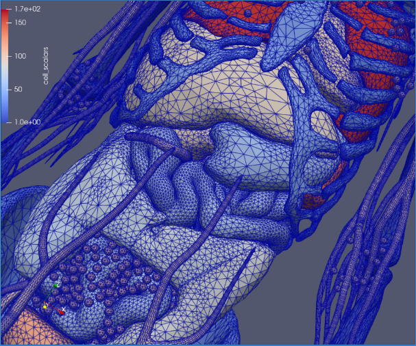 Dibujo de las estructuras internas del tórax y abdomen de un cuerpo humano, donde las superficies de los huesos y órganos están construidas a base de pequeños polígonos.