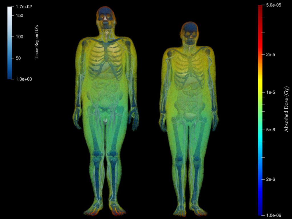 Dos figuras humanas donde se aprecian huesos y órganos. La mitad inferior del  cuerpo está coloreada en tonos verdes y azules, salvo los pies que presentan tonos rojos. La mitad superior presenta tonos amarillos a excepción del cráneo, de tonos rojos.