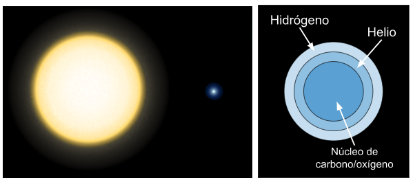 Enana blanca junto a estrella amarilla veinte veces más grande. El interior de la enana blanca tiene tres capas concéntricas que, de fuera hacia adentro, contienen hidrógeno, helio y carbono/oxígeno.