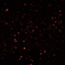 Campos Magnéticos y el Nacimiento de las Primeras Estrellas
