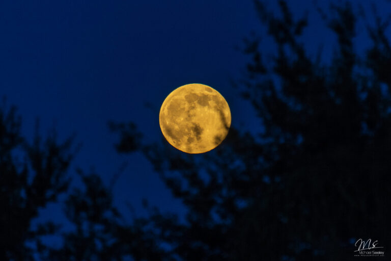 Al parecer la Luna no nació en una sola noche